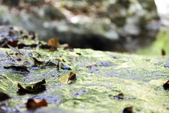 hotel fazenda massaranduba