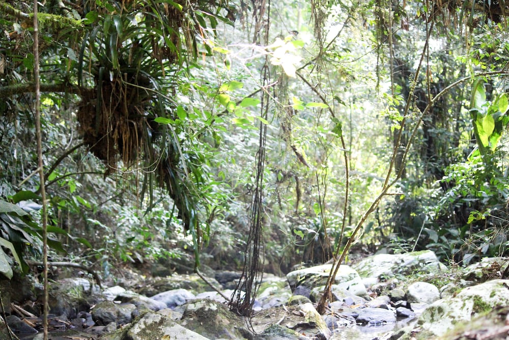 hotel fazenda massaranduba