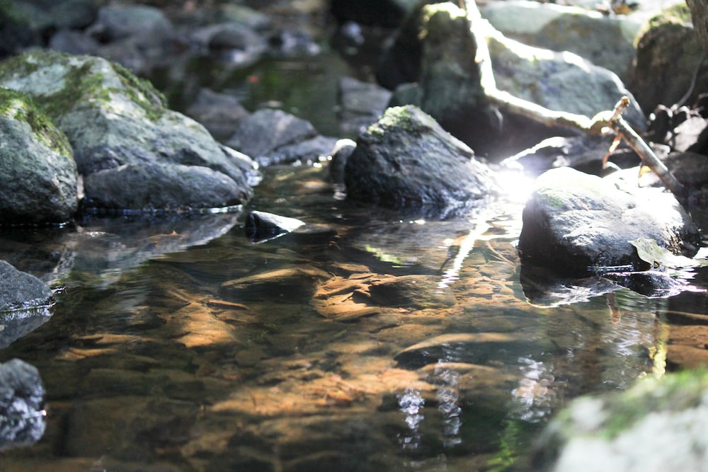 hotel fazenda massaranduba
