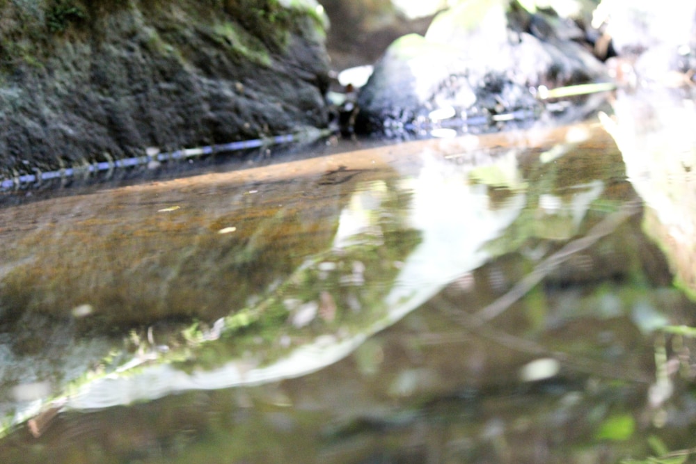 hotel fazenda massaranduba