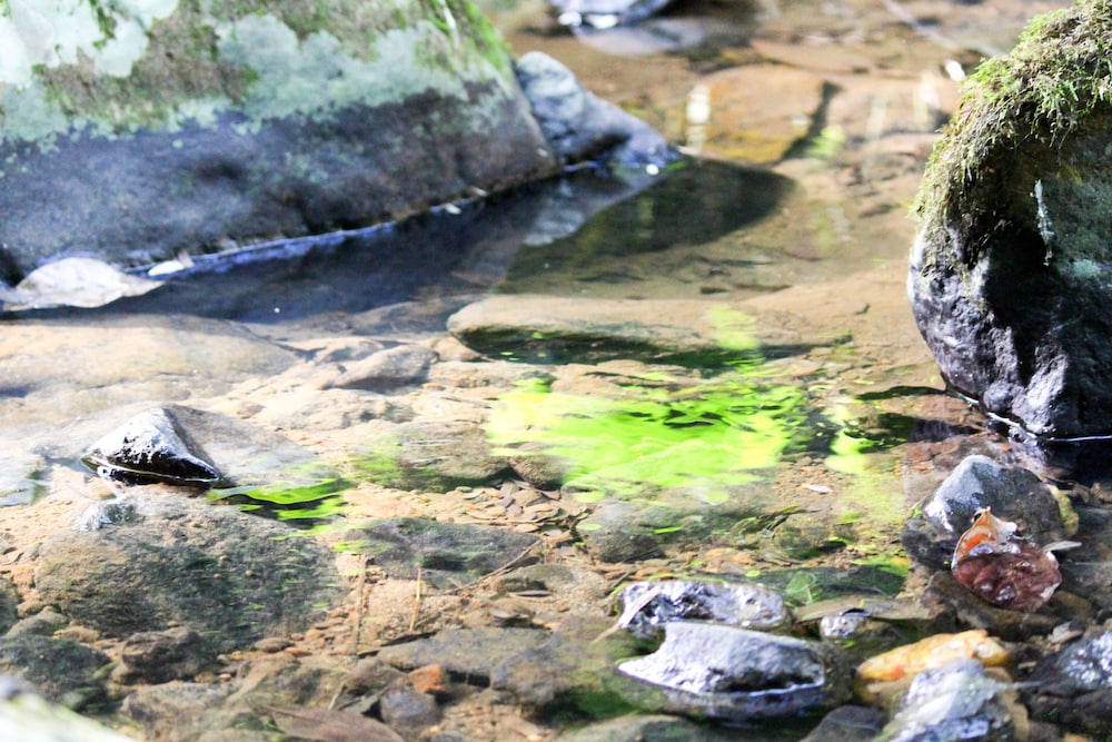 hotel fazenda massaranduba
