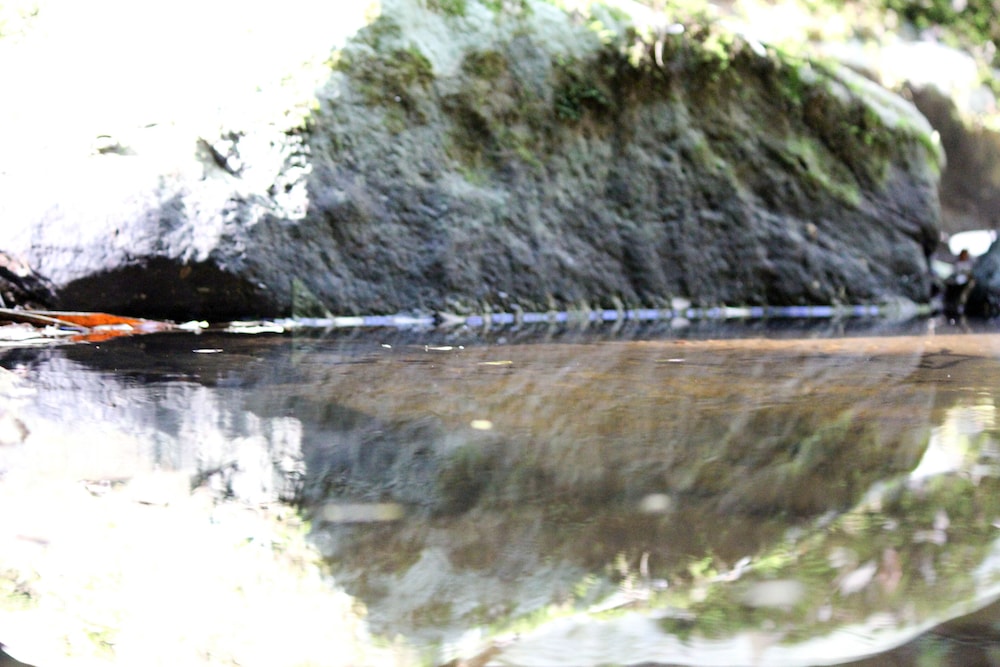 hotel fazenda massaranduba