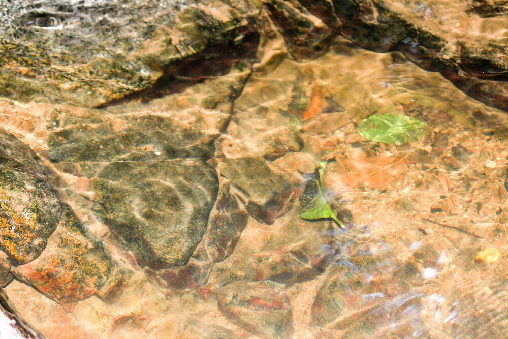 hotel fazenda massaranduba