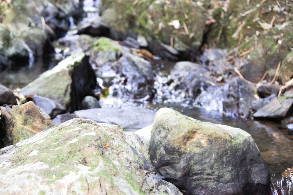 hotel fazenda massaranduba