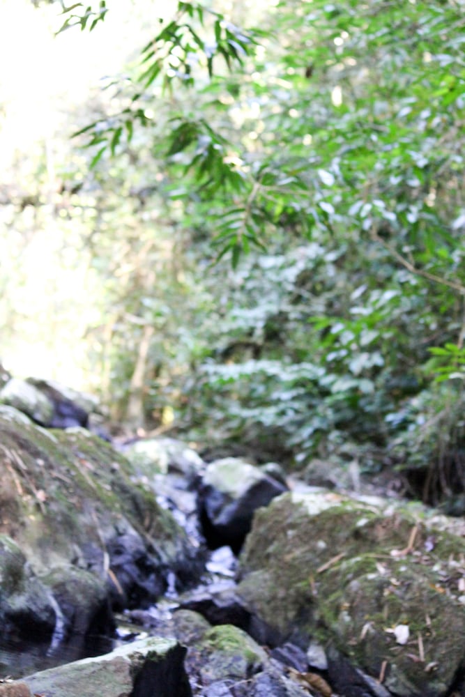 hotel fazenda massaranduba