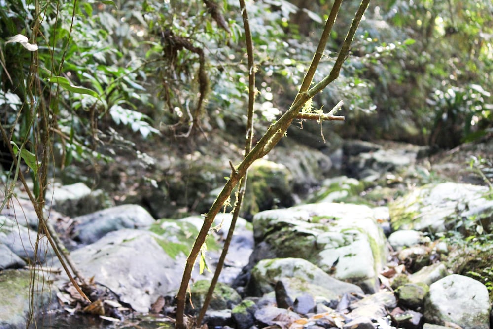 hotel fazenda massaranduba