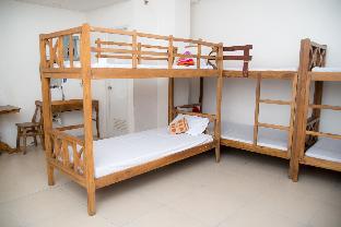 rooms 498 rooms for rent