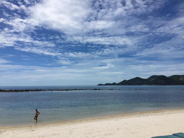 coconut grove hotel samui hostel