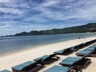 coconut grove hotel samui hostel