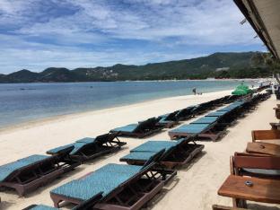 coconut grove hotel samui hostel