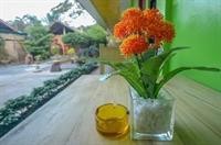 oyo 622 butterfly totem guesthouse