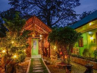 oyo 622 butterfly totem guesthouse
