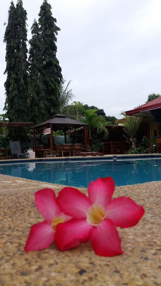 citadel bed and breakfast