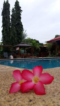 citadel bed and breakfast