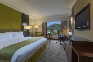 Holiday Inn Singapore Orchard City Centre By Ihg,Orchard Road>>Orchard,4 star