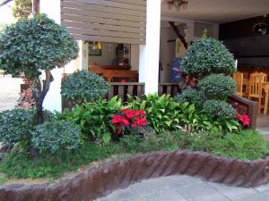 lanna thai guesthouse