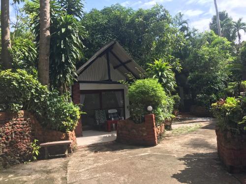 pine bungalow