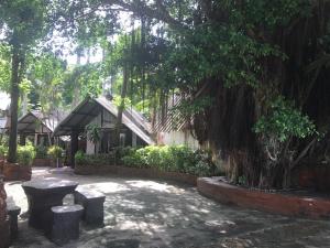 pine bungalow