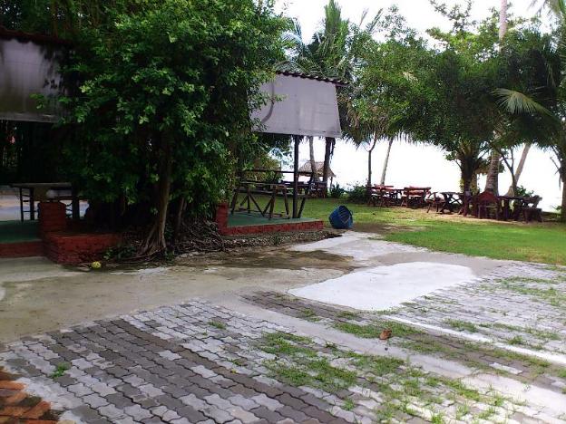 pine bungalow