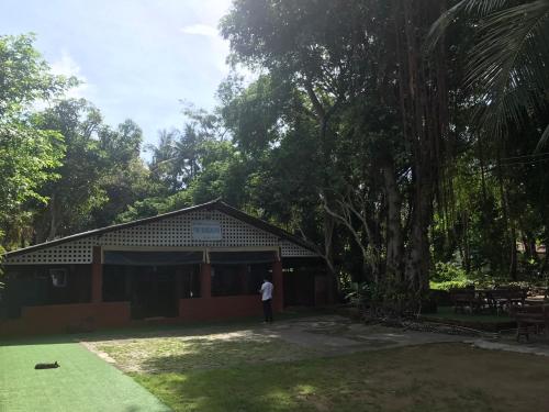 pine bungalow