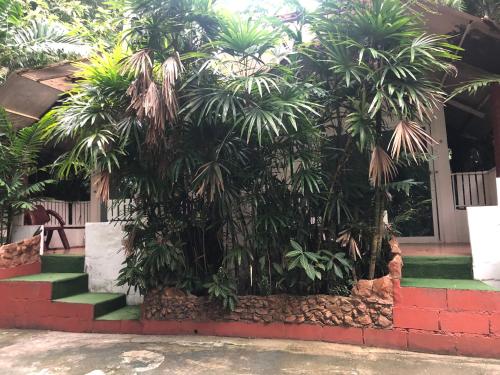 pine bungalow