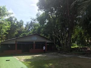 pine bungalow