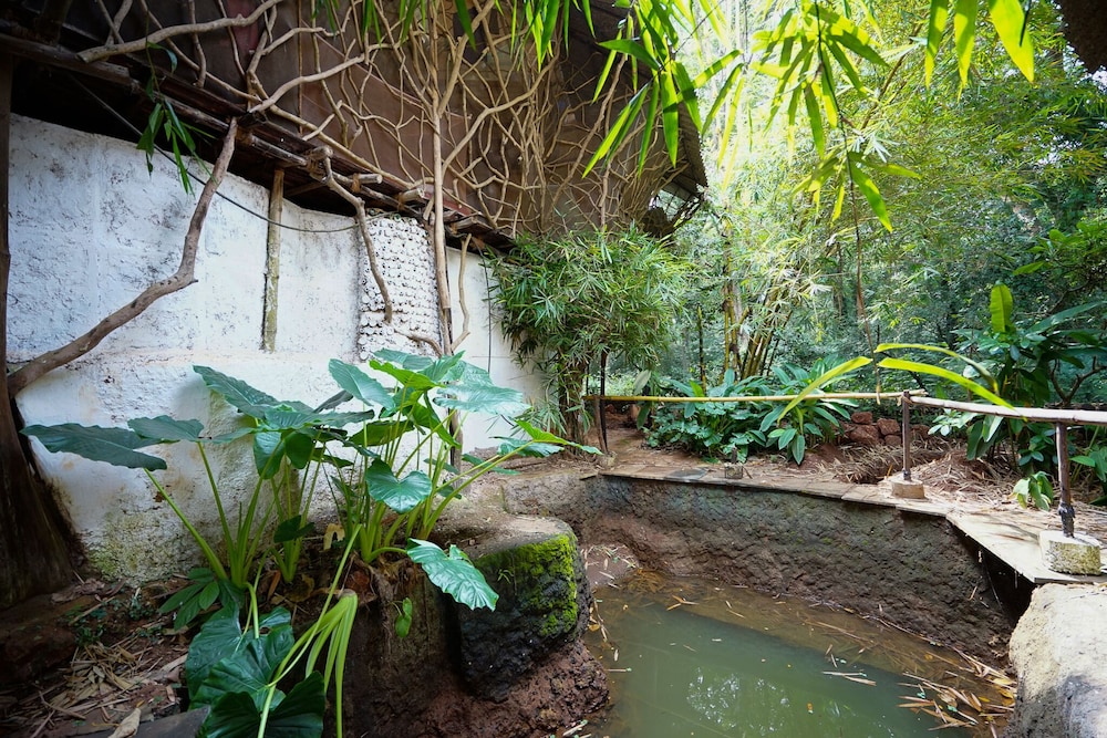 saraya art cafe bandb