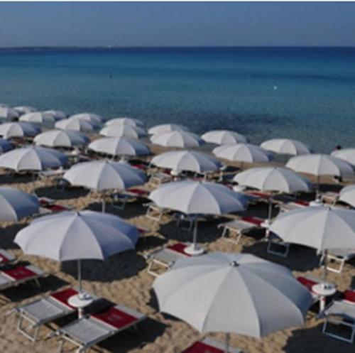 hotel baia verde gallipoli