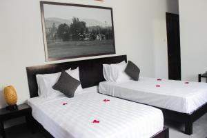 hoi an viet house homestay