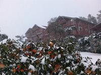 breakfast at tiffanys pension