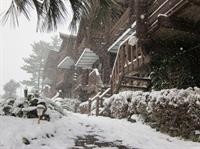 breakfast at tiffanys pension