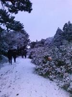 breakfast at tiffanys pension