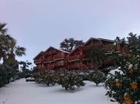 breakfast at tiffanys pension