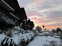 breakfast at tiffanys pension