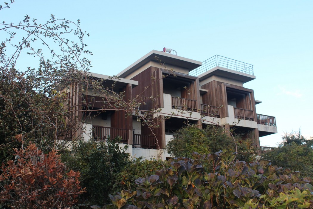 jejueco suites