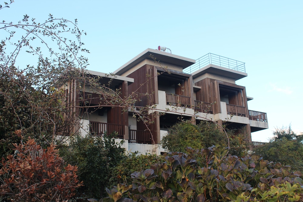 jejueco suites