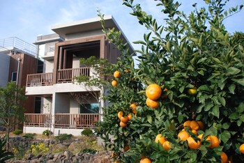 jejueco suites