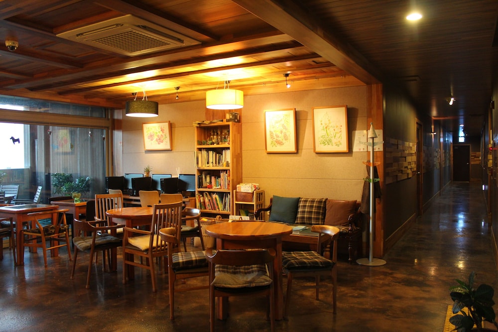 jejueco suites
