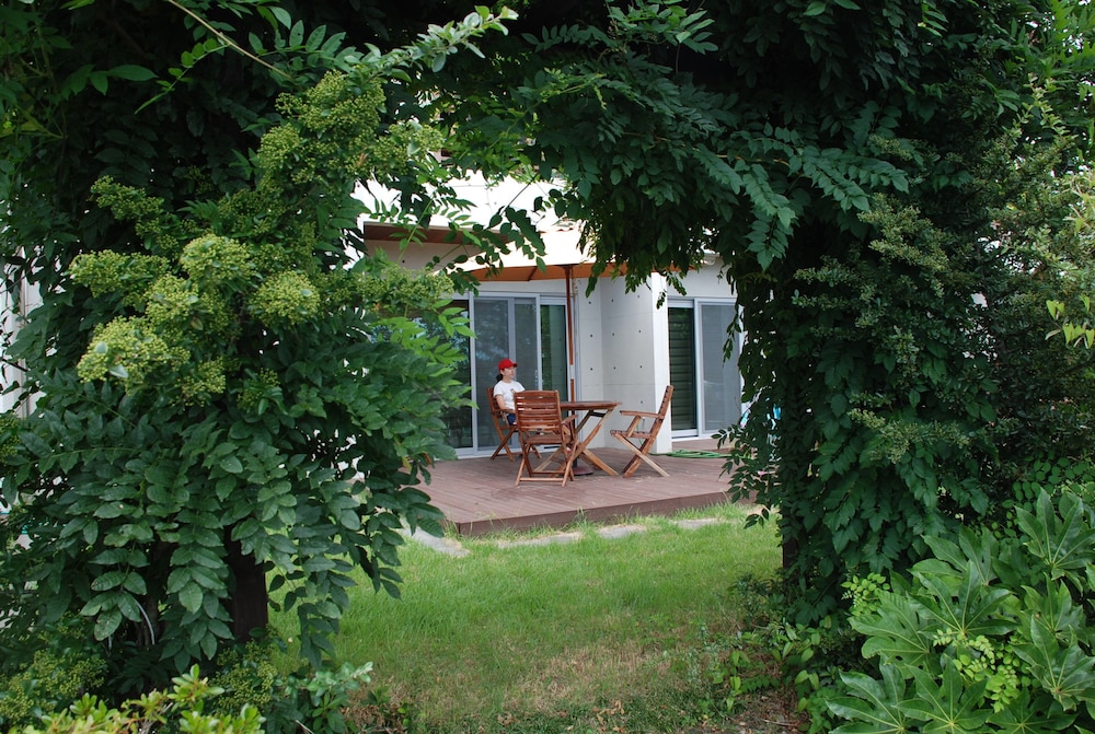 jejueco suites