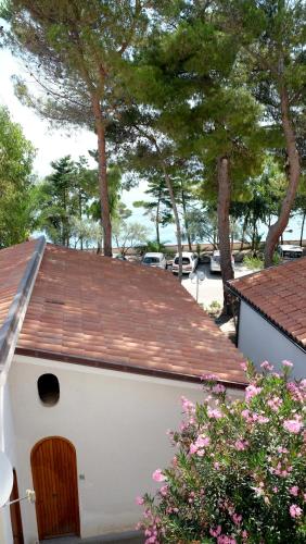 testa di monaco natural beach