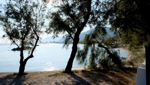 testa di monaco natural beach