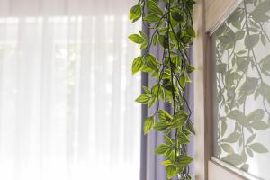 maple tree apartments