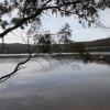 tranquil point