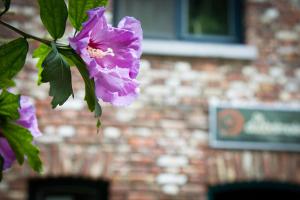B&B De Dubbelmolen,Flemish Region>>Tongeren,3 star