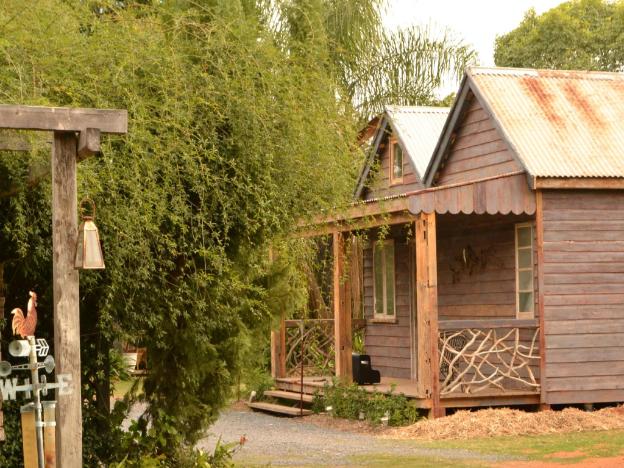 the laurels of chinchilla