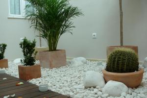 hostal albero by eme hoteles