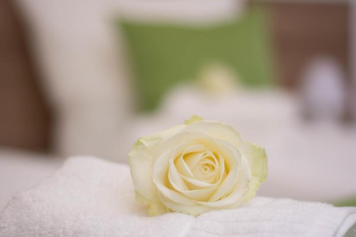 bed and breakfast outlet hotel