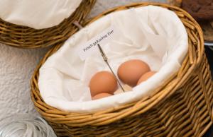 bed and breakfast outlet hotel