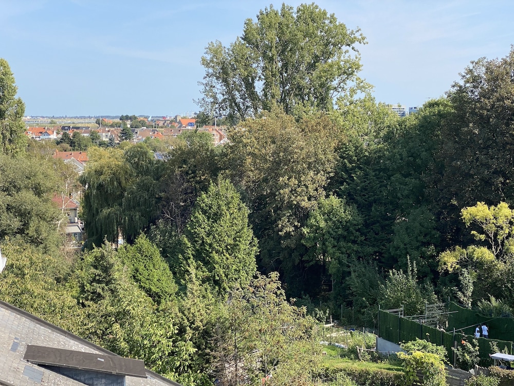 fly inn brussels airport