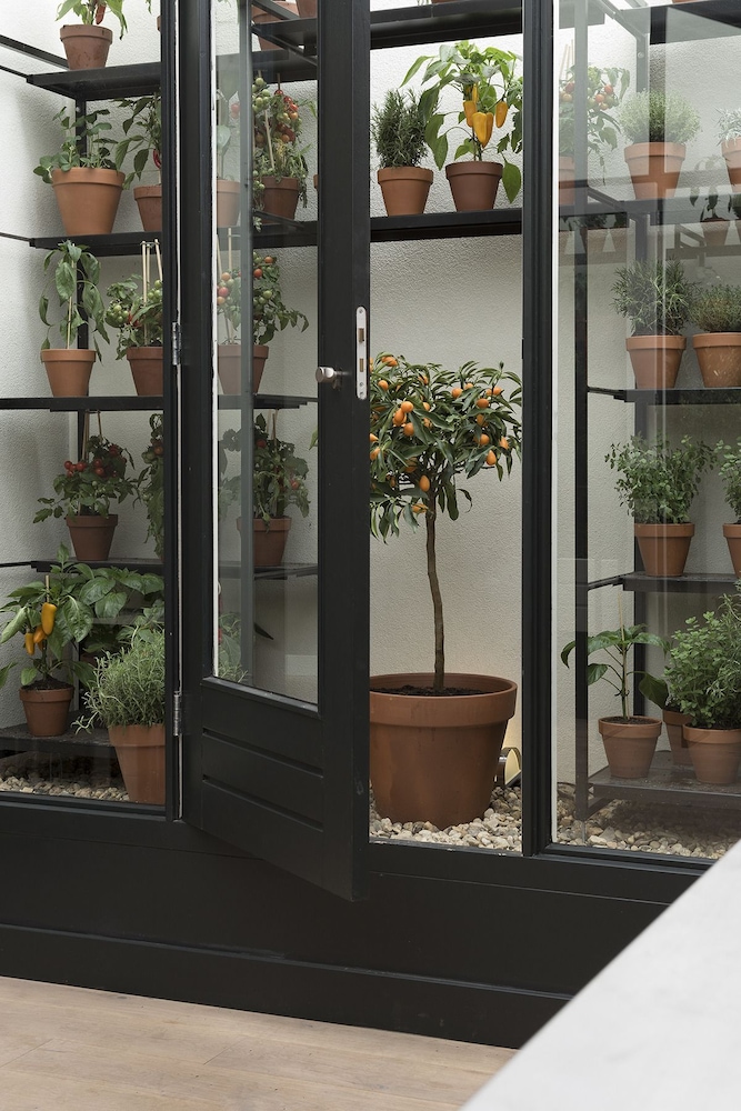 hotel blue inspired by manna